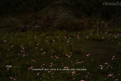 Attività - Un fiore per Iris - Final Fantasy XV