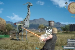 Richiesta di caccia - Bellezza selvaggia - Final Fantasy XV