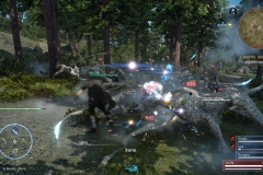 Richiesta di caccia - L'eremita della foresta - Final Fantasy XV